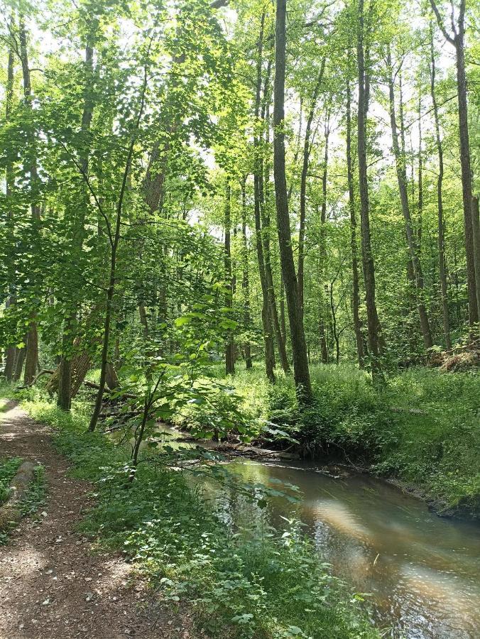 Ferienwohnung Heide 1 Walsrode Esterno foto